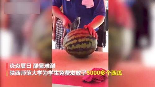 52吃瓜爆料免费吃瓜视频 独家爆料文轩,独家揭秘文轩，免费吃瓜视频大放送！