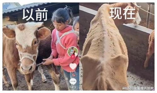 网红小英被曝大瓜,背后真相令人震惊