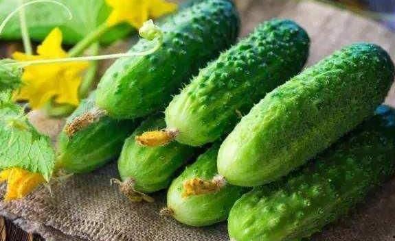 爆炸瓜视频 吃瓜爆料,吃瓜爆料背后的真相与反思